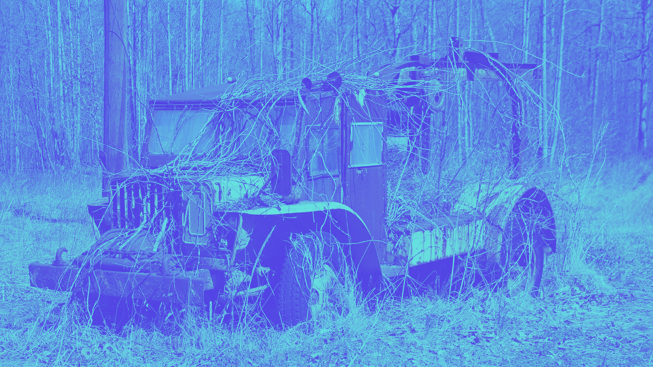 old truck overgrown with nature